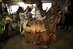 Inde - cheval Marwari - 17