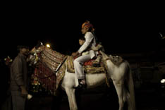 Inde - cheval Marwari - 59